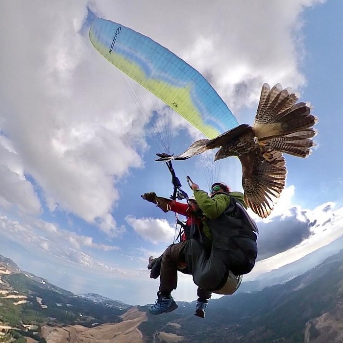 公式 】パラホーキング イン ジャパン |伊豆・熱海のパラグライダー