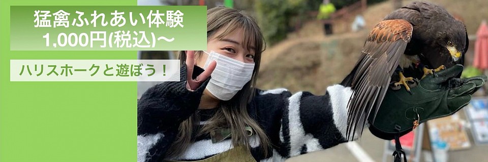 猛禽ふれあい体験　現在お休み中です。