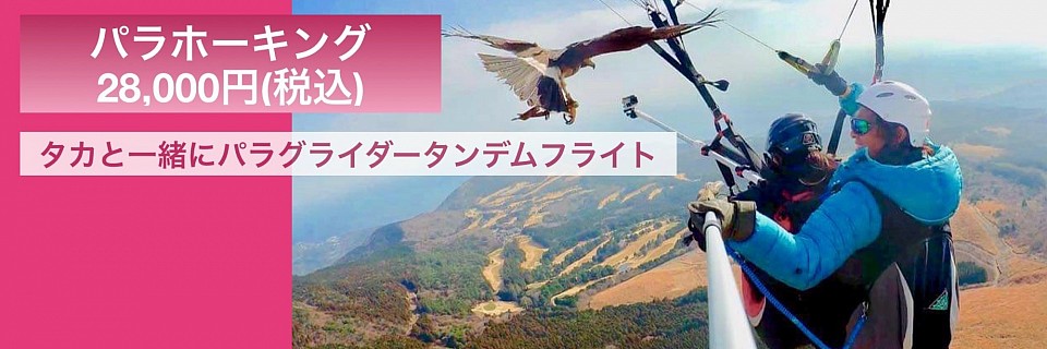 パラホーキング　現在お休み中です。