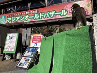 アジアンオールドバザールへ出店