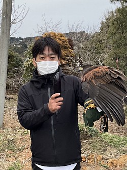 タカとお散歩体験