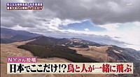 ナニコレ珍百景　パラホーキング